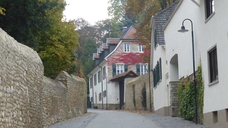 Selztal, Ingelheim: Weingut Wasem