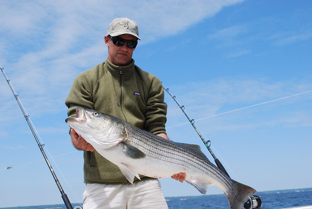 Maryland Weekly Fishing Report Overview