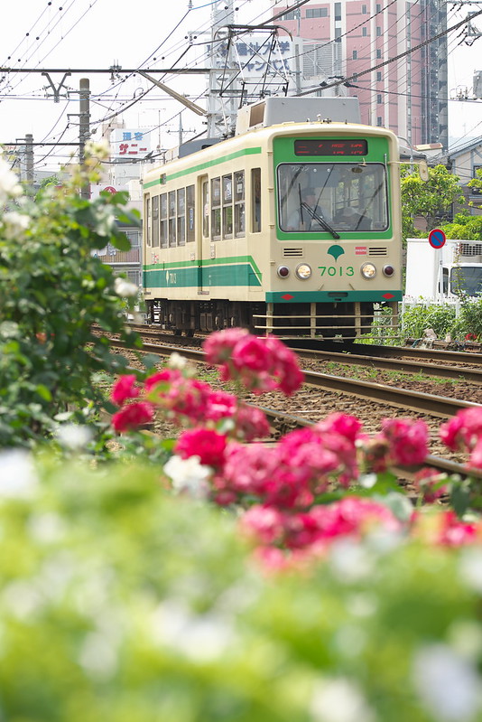 Tokyo Train Story 都電荒川線 2015年5月23日