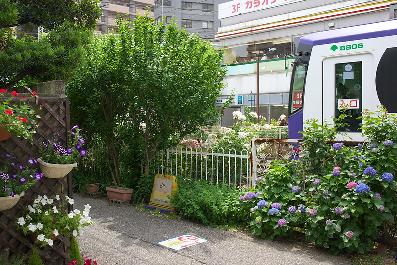 Tokyo Train Story 都電荒川線 2015年5月23日