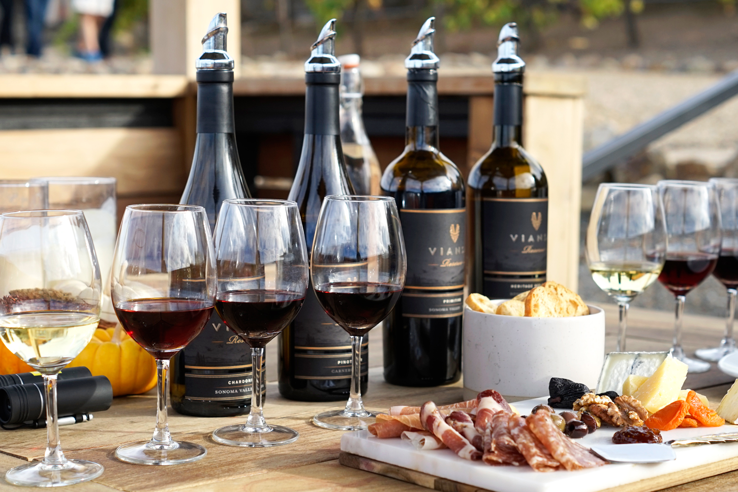 03viansa-winery-sonoma-winetasting-food