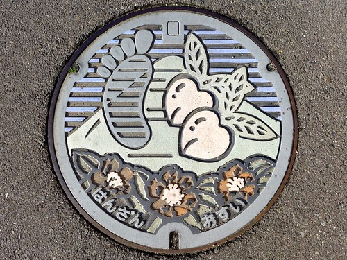 Hanzan Kagawa, manhole cover 2 （香川県飯山町のマンホール２）