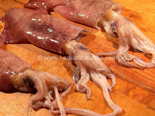 Calamars & Poulpes Grillés sur le Barbecue © Ana Luthi Tous droits réservés 02_GF