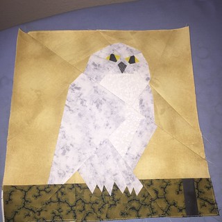 Hedwig, for POD