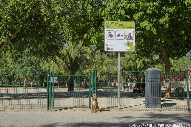 Parque para perros en el parque de la Canaleta, Mislata