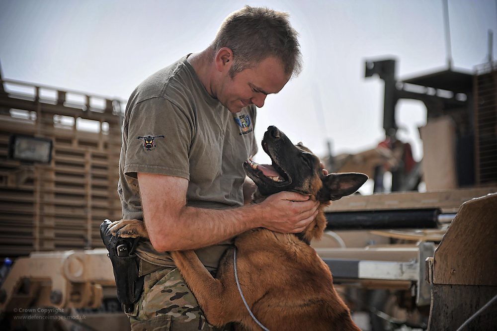 Military Working Dog with a soldier in Afghanistan | Flickr