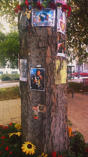 Michael Jackson Memorial Tree, Budapest