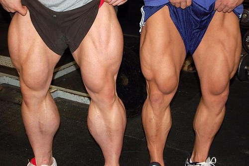 Massive Female Legs 101