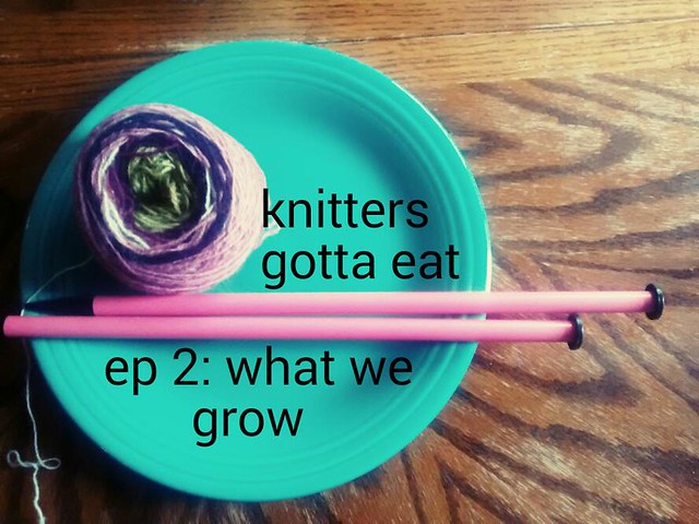 Knitters gotta eat Ep 2: what we grow