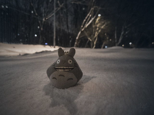 Day #340: totoro is glad that a lot of snow