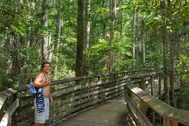 The boardwalk safely takes you through the Bald Cypress Swamp at First Landing State Park,Virginia