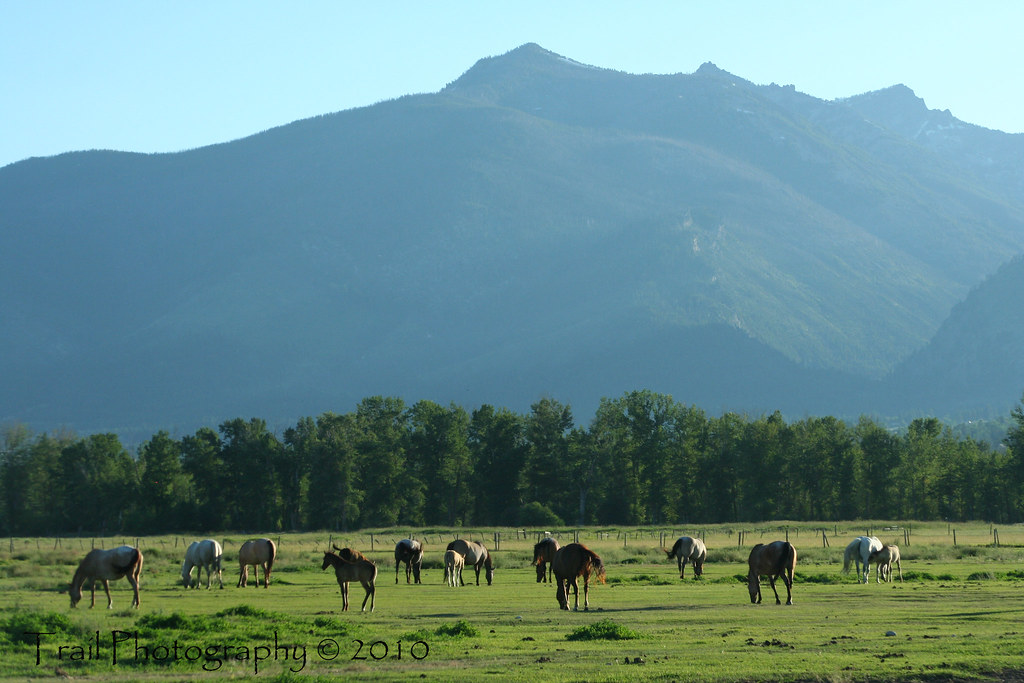 Corvallis, Montana | Montana Landscape | Heather T | Flickr