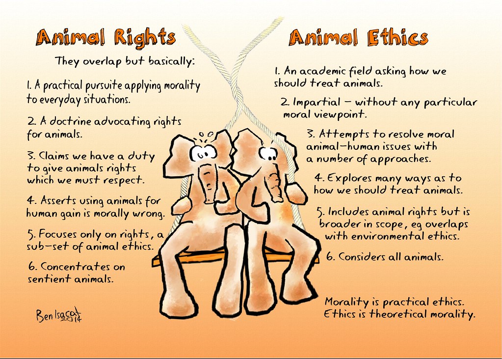 Machans Arguments Against Animal Rights