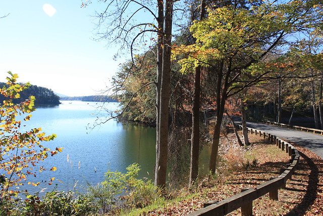 Whether hiking or driving you're sure to see awesome views of the lake at Smith Mountain Lake State Park, Va