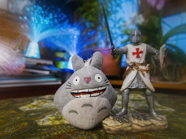 Day #339: totoro is under the protection of the templario