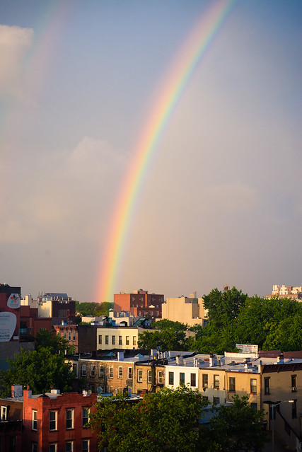 Brooklyn Rainbow