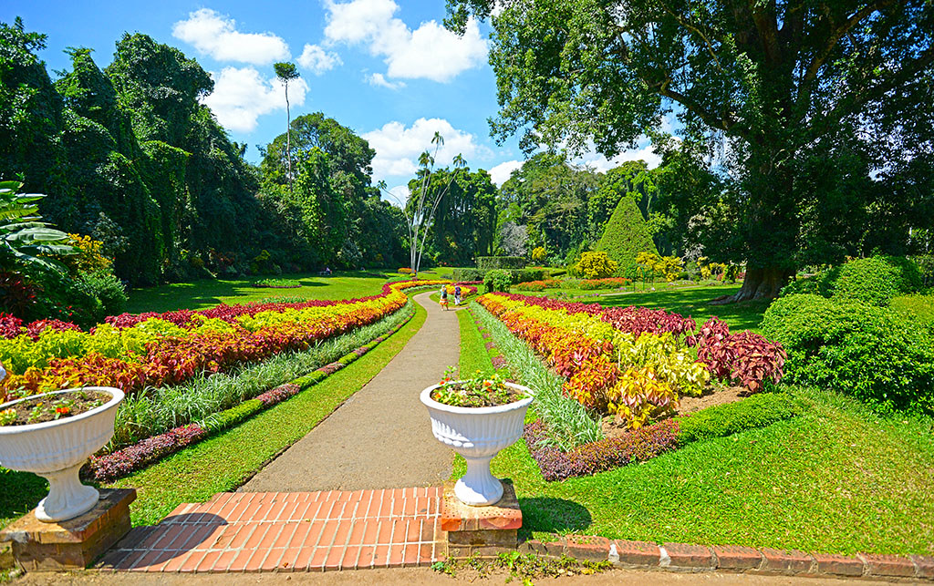 Royal Botanical Garden | Royal Botanical Garden, Peradeniya … | Flickr