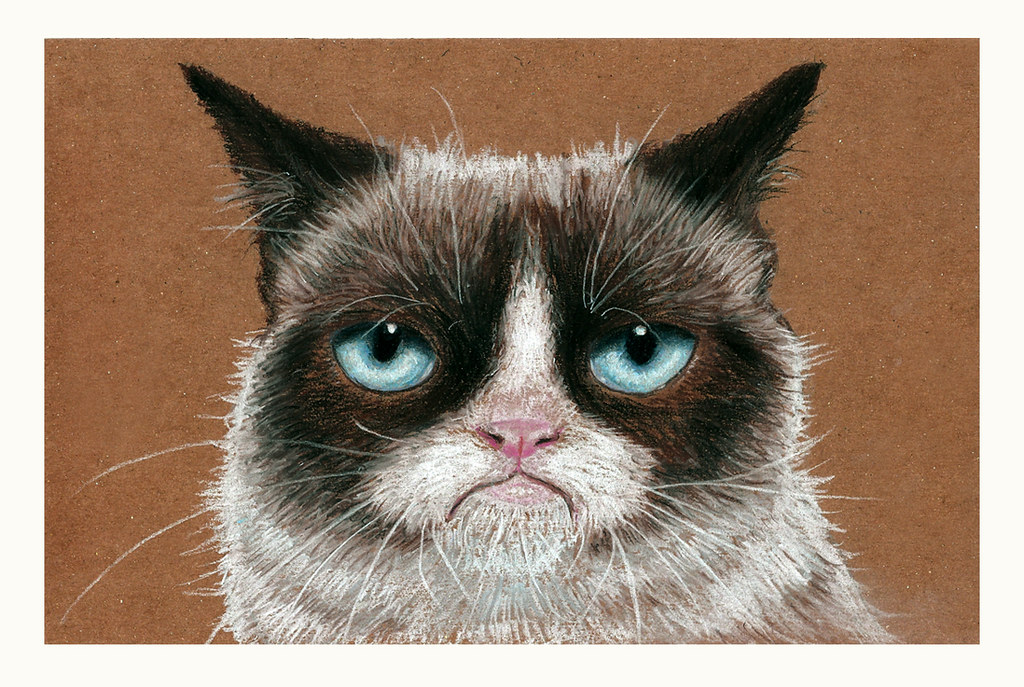 Grumpy Cat | "Don't like my drawing? GOOD: >:[ | Laura Restrepo | Flickr