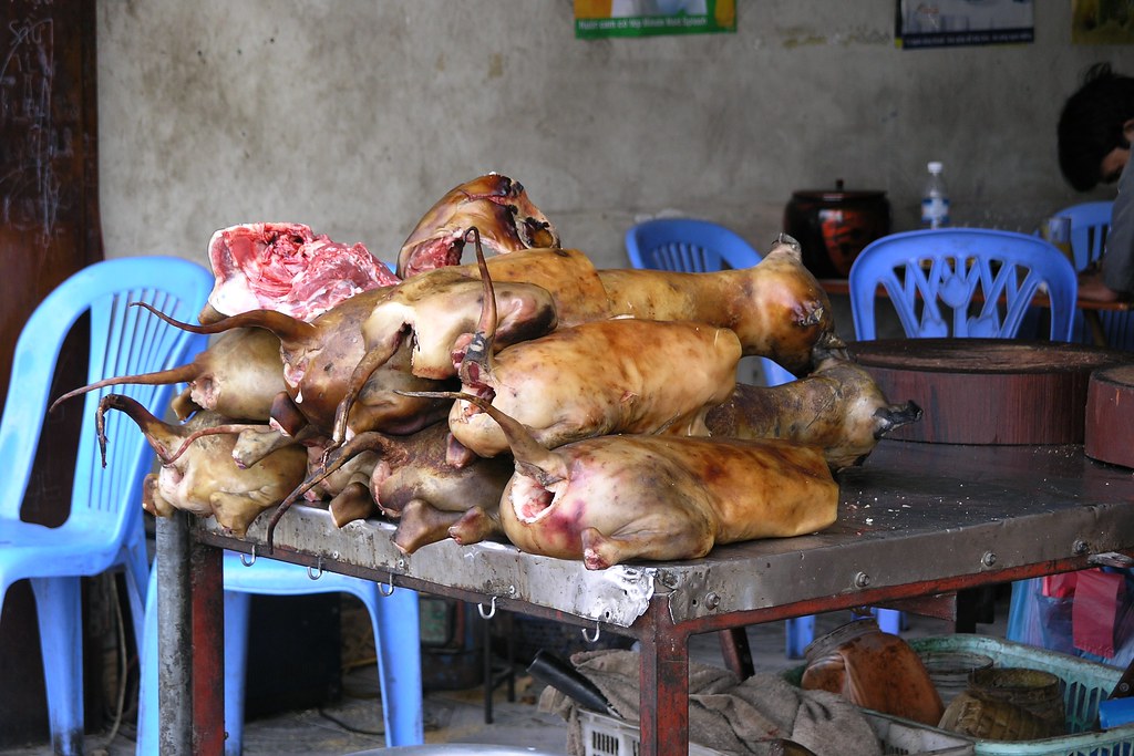 Vietnam Hanoi Dog Butcher Hundeschlachter 10 Flickr