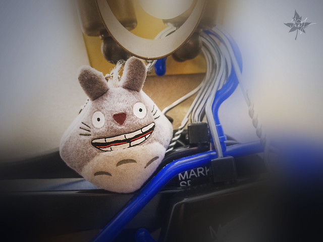 Day #333: totoro doesn't know what can he do right now