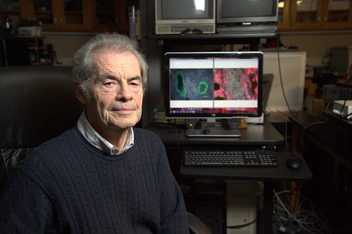 Professor Vitally Vodyanoy sits by an illustration of the primo-vascular system.