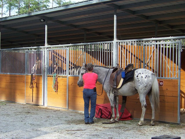 You can rent a stable as part of your horse camping experience at Staunton River State Park