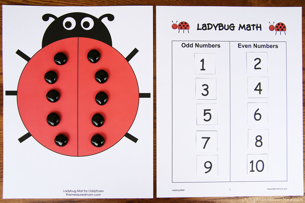 Odd and Even Ladybug Math Activity | Free Ladybug Printables… | Flickr
