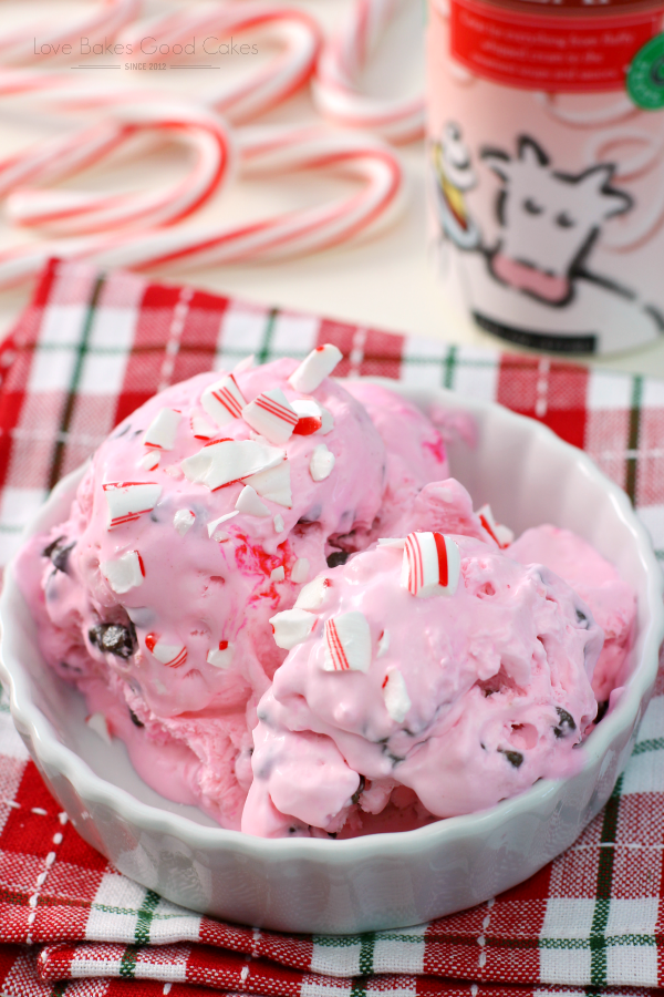 No-Churn Peppermint Chip Ice Cream in a bowl with crushed candy cane pieces.