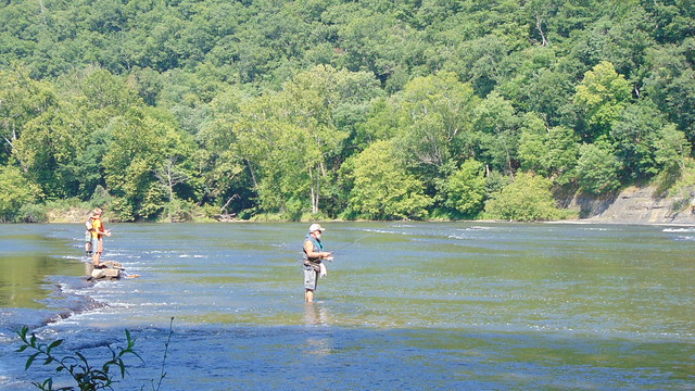 Surround yourself in nature - fly fishing at New River Trail State Park in Virginia