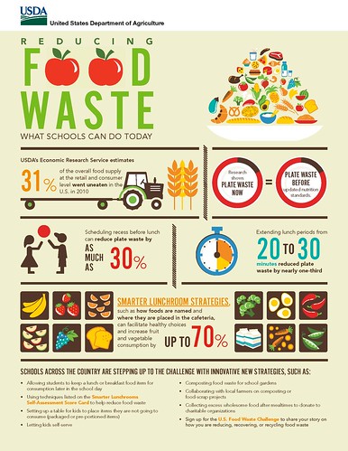 Reducing Food Waste Infographic