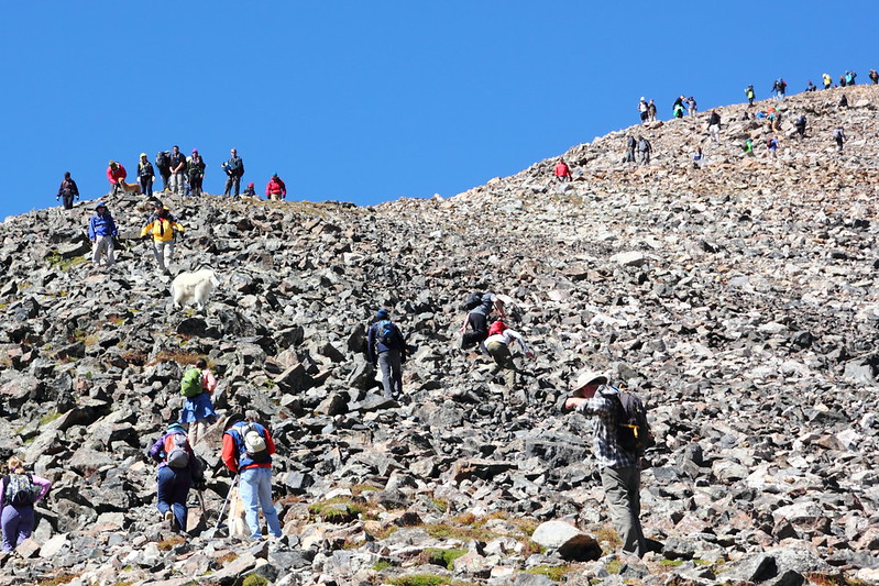 Summiting Quandary Peak