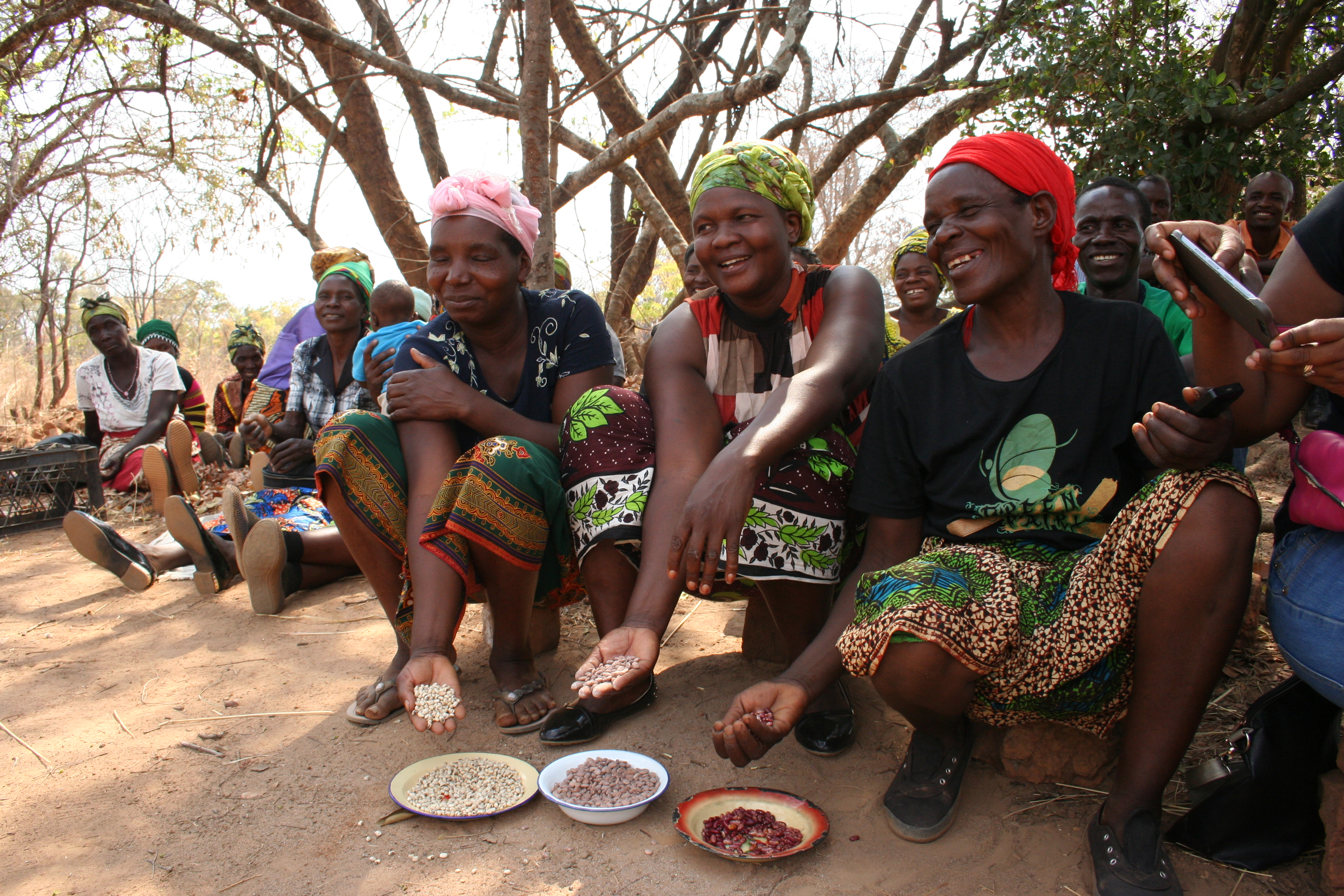 The Beating Pulse of Food Security in Africa | Inter Press ...