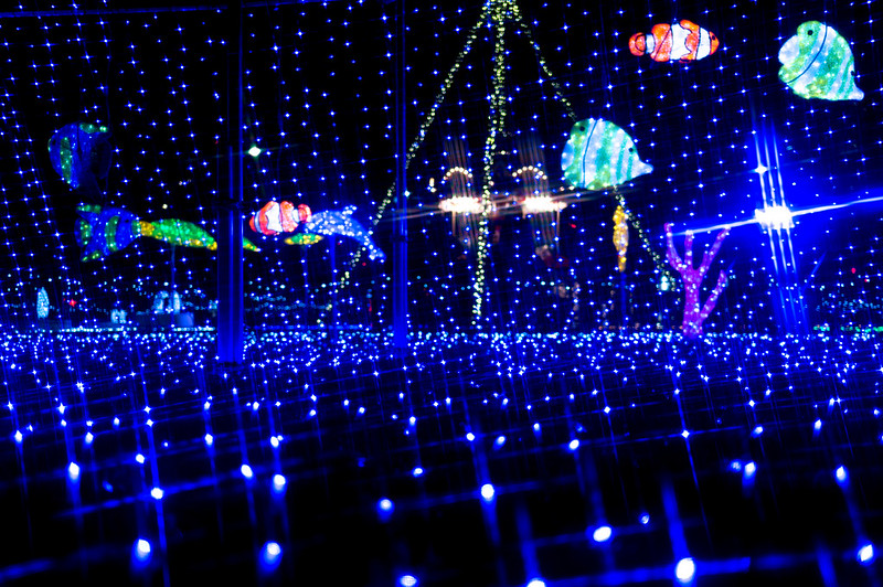 シバヒロ広場のクリスマスイルミネーション