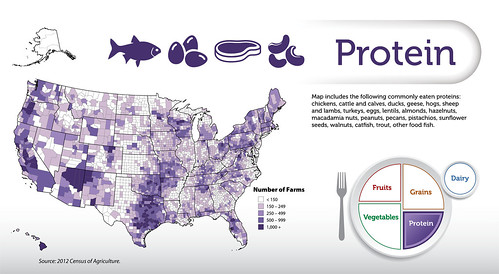 The Protein map