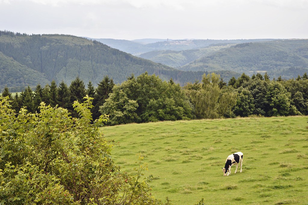 4 Things to do in the Eifel Region