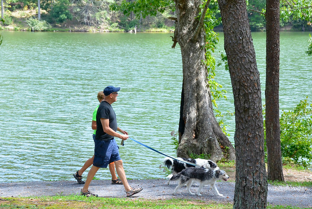 Walking the dawgs around the lake at Hungry Mother State Bark in Virginia