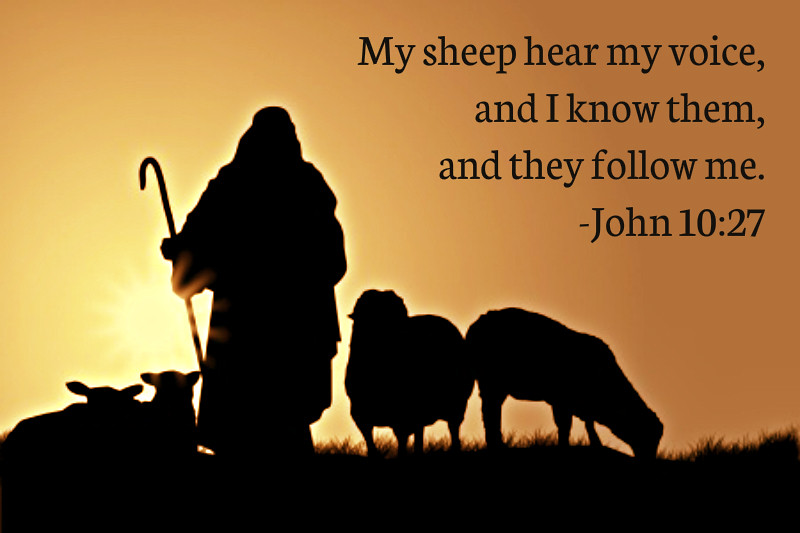 John 10:27 | joshtinpowers | Flickr