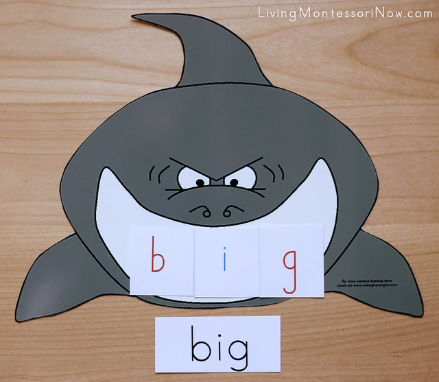 Shark Phonics Reading and Word-Building Activity