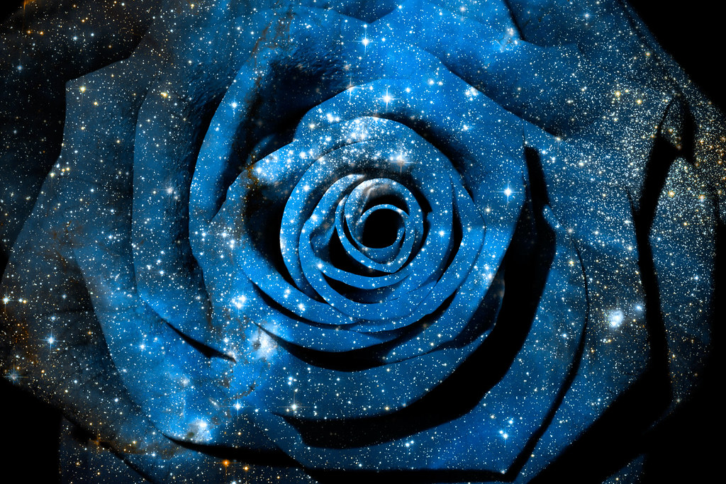 Cosmic Rose | Photomanipulation combining a rose macro court… | Flickr