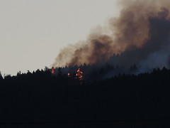 Fire has crested the ridge
