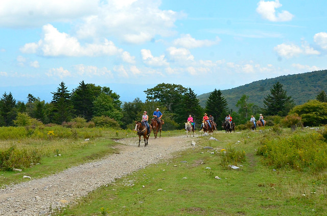 Horseback riding at Grayson Highlands State Park in Virginia (no horses for rent, so BYOH)