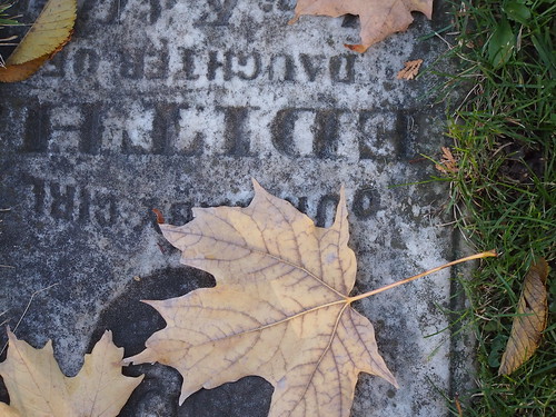 autumn leaves on a tombstone in mount pleasant cemetery toronto