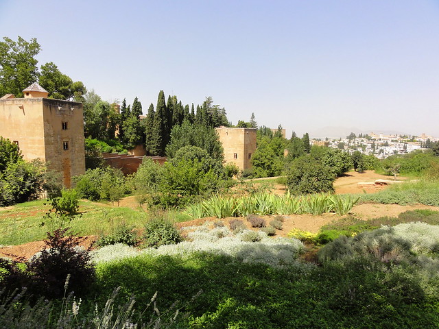 Dos días y medio en Granada capital(2). La Alhambra y el Generalife. - Recorriendo Andalucía. (46)
