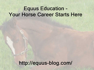 Mentoring for a Horse Career - Would you do it?