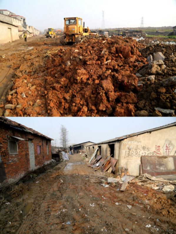 Track | Wuhan village pig raising thousands of odor is unbearable, tuiyang 1453 pigs