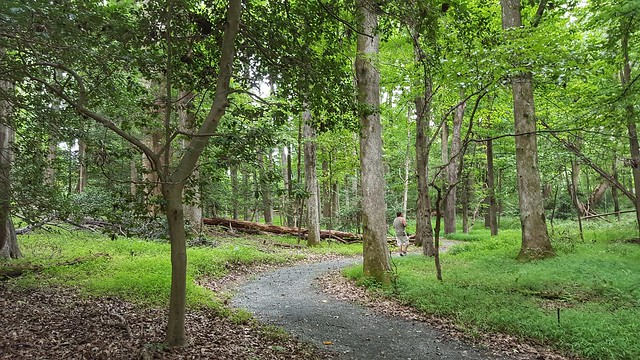 Explore this Caledon State Park's many trails under the canopy of the trees or down to the beach on the Potomac River in Virginia