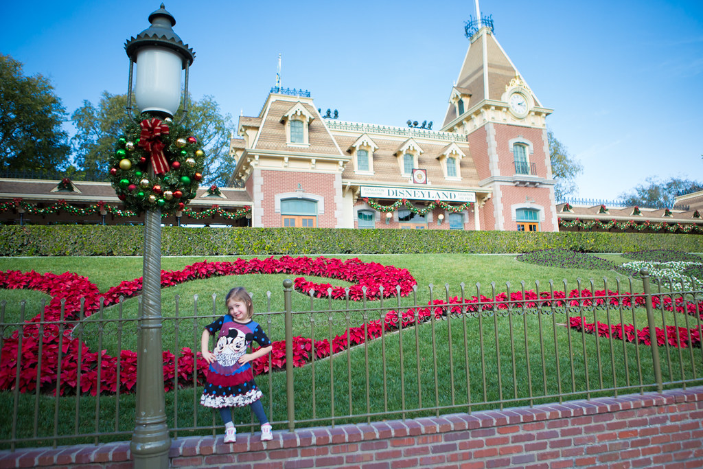 Tips for your Disneyland trip