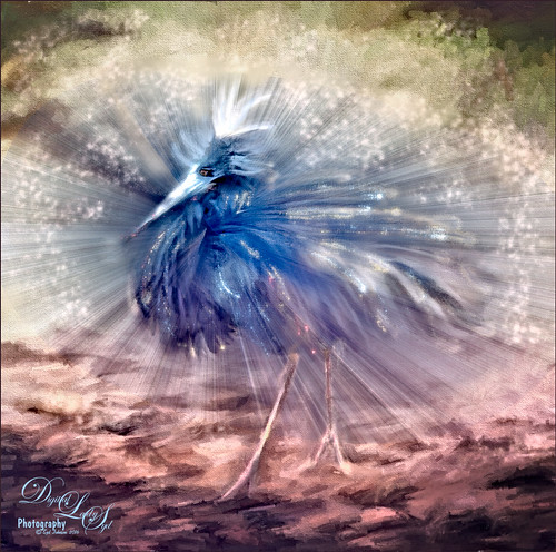 Image of a Snowy Egret with ParticleShop brush strokes applied