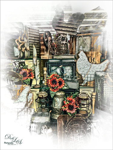 Image of a Thanksgiving store display
