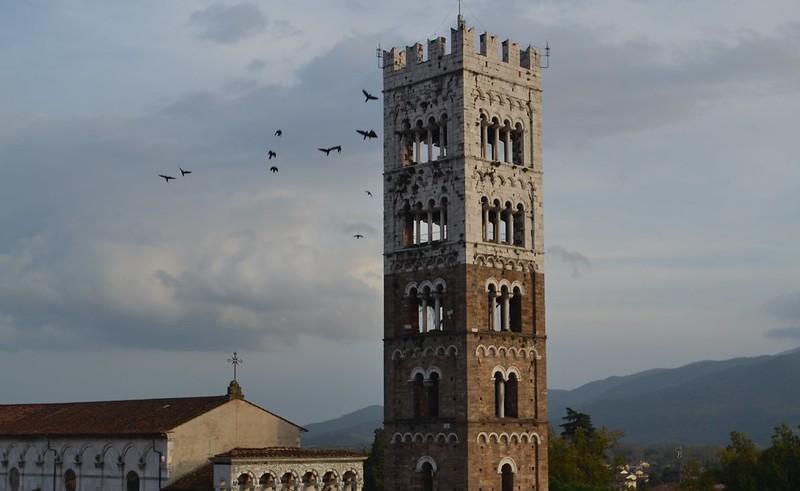 Lucca 2014